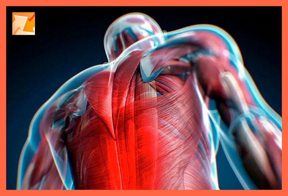 Characteristics of discomfort